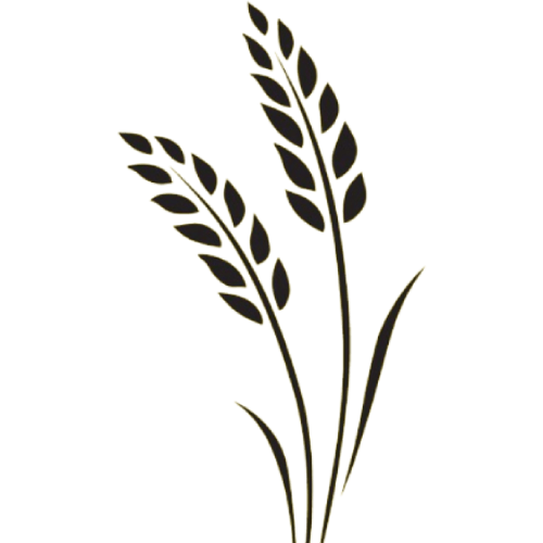Wheat Keys