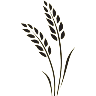Wheat Keys